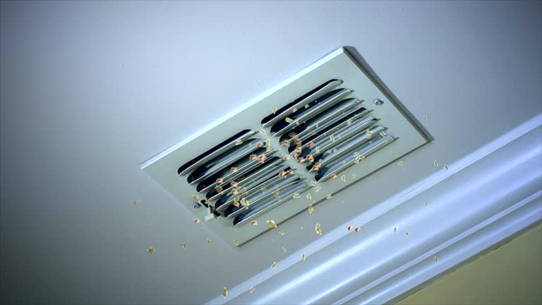 Best HVAC Duct Inspection Services  in Hewitt, NJ