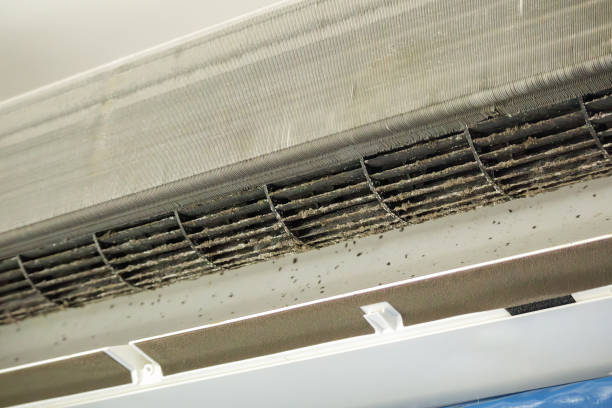 Best Local Air Duct Cleaning Services  in Hewitt, NJ